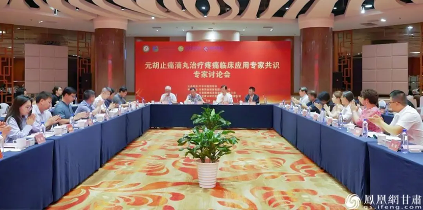 知名专家北京论见 智汇甘肃好药临床应用