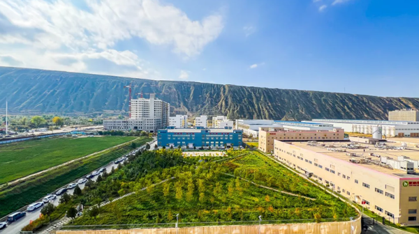 厂区秋景 ┃ 霜染厂区色 药香酿秋深
